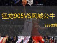 猛龍905VS風城公牛
