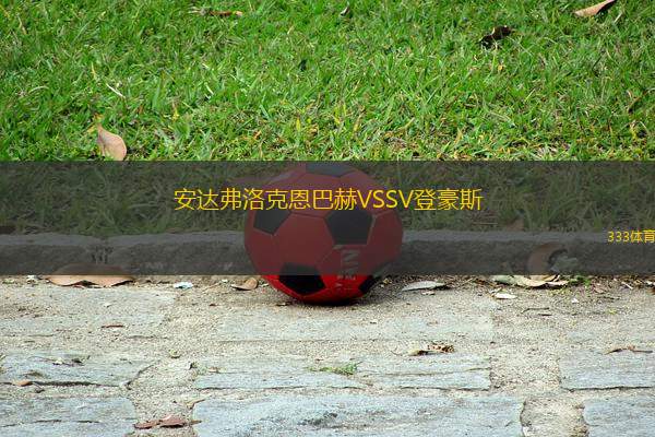 安達(dá)弗洛克恩巴赫VSSV登豪斯