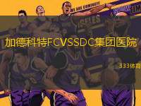 加德科特FCVSSDC集團(tuán)醫(yī)院