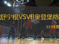舒寧根VSVfl奧登堡格