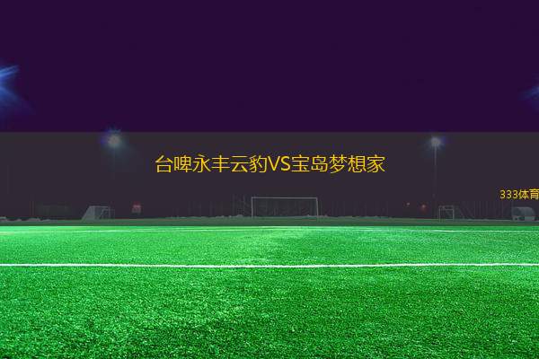 臺啤永豐云豹VS寶島夢想家