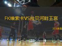 FK維索卡VS拉貝河畔王宮