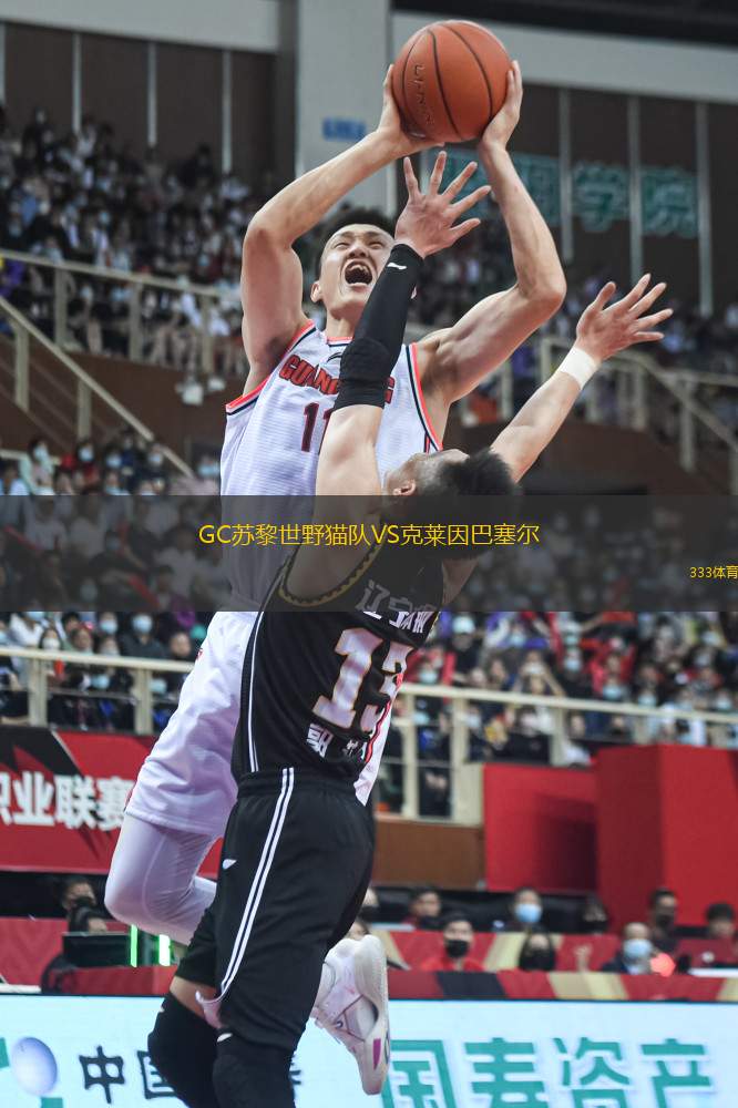 GC蘇黎世野貓隊VS克萊因巴塞爾