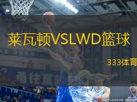 萊瓦頓VSLWD籃球
