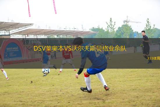 DSV萊奧本VS沃爾夫斯貝格業(yè)余隊