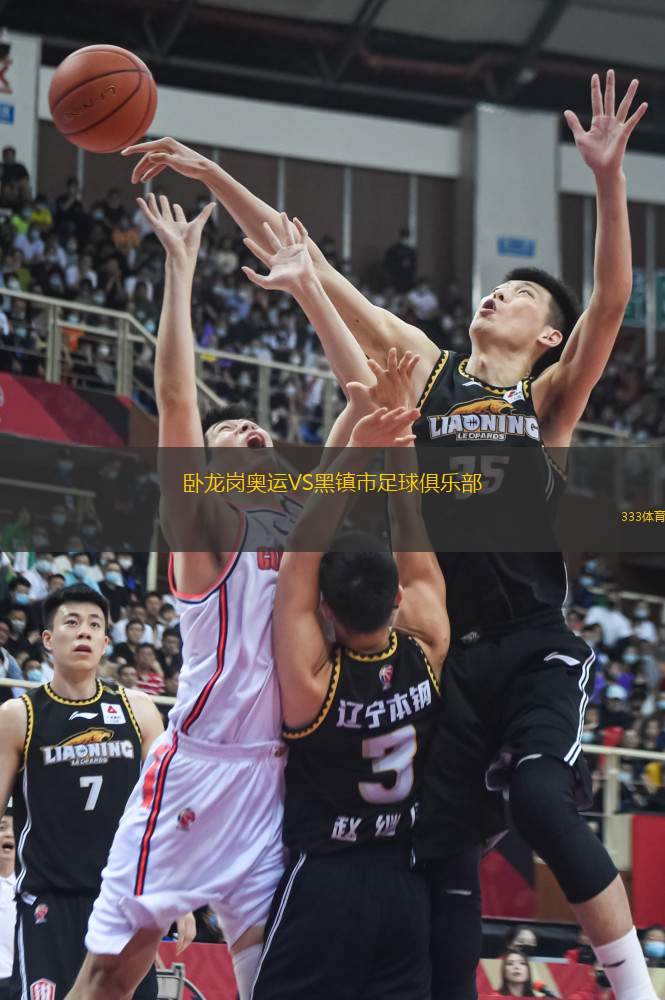 臥龍崗奧運VS黑鎮(zhèn)市足球俱樂部