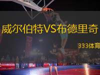 威爾伯特VS布德里奇