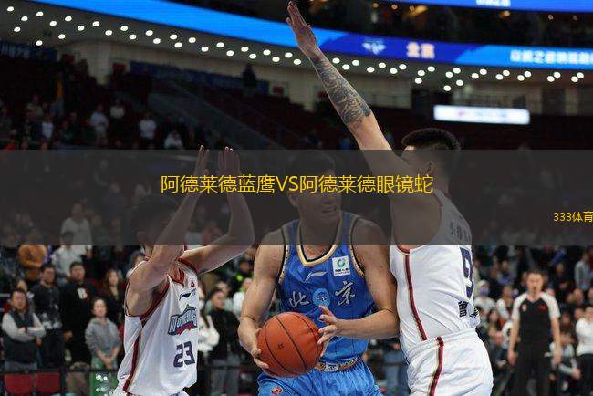 阿德萊德藍鷹VS阿德萊德眼鏡蛇