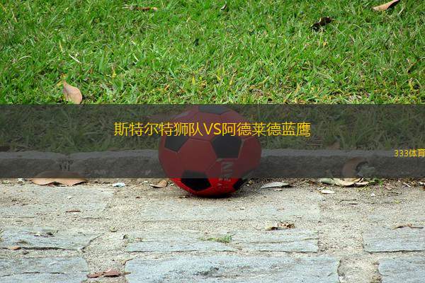 斯特爾特獅隊(duì)VS阿德萊德藍(lán)鷹