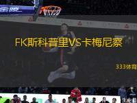 FK斯科普里VS卡梅尼察
