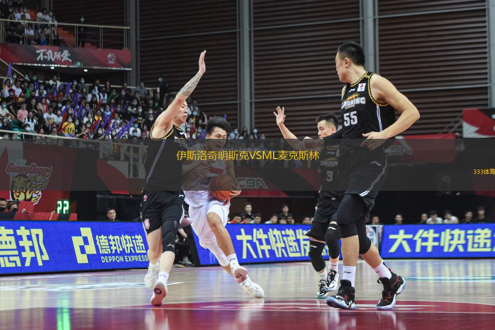伊斯洛奇明斯克VSML麥克斯林