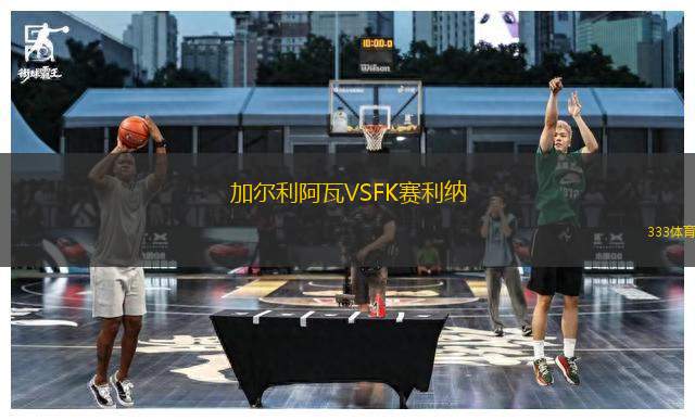 加爾利阿瓦VSFK賽利納