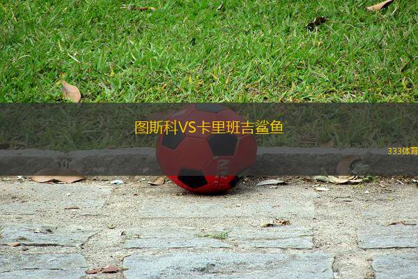 圖斯科VS卡里班吉鯊魚