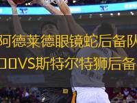 阿德萊德眼鏡蛇后備隊(duì)VS斯特爾特獅后備隊(duì)