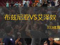 布茲尼亞VS艾澤奴