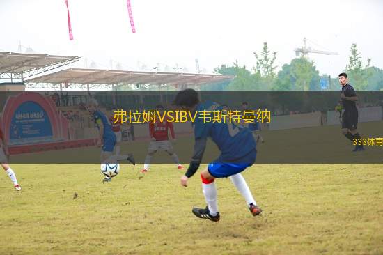 弗拉姆VSIBV韋斯特曼納