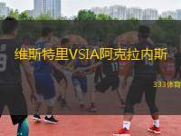 維斯特里VSIA阿克拉內(nèi)斯