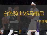 白色騎士VS馬格尼