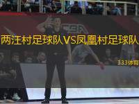 兩汪村足球隊(duì)VS鳳凰村足球隊(duì)