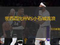 密西西比州VS小石城流浪