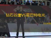 鉆石谷鷹VS霍巴特電光