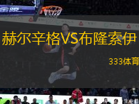 赫爾辛格VS布隆索伊