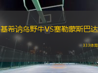 基希訥烏野牛VS塞勒蒙斯巴達(dá)
