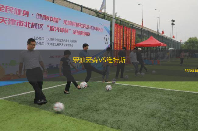 羅迪豪森VS維特斯
