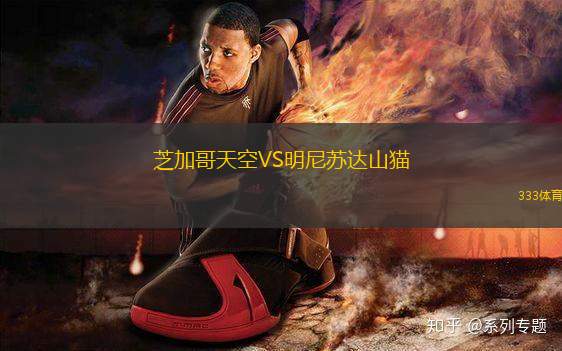 芝加哥天空VS明尼蘇達(dá)山貓