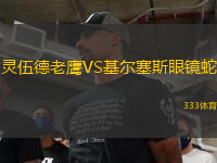 靈伍德老鷹VS基爾塞斯眼鏡蛇