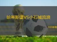 哈蒂斯堡VS小石城流浪