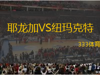 耶龍加VS紐瑪克特