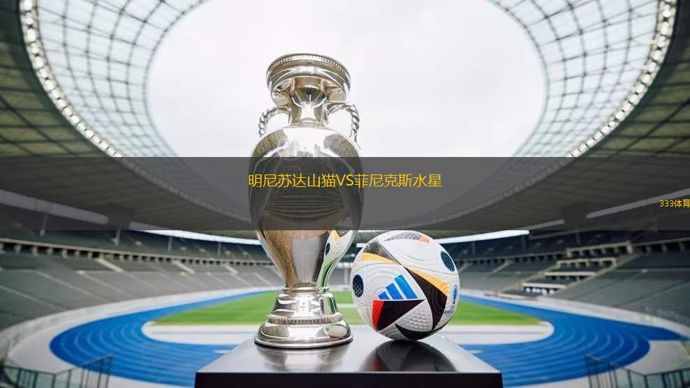 明尼蘇達(dá)山貓VS菲尼克斯水星
