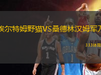 埃爾特姆野貓VS桑德林漢姆軍刀