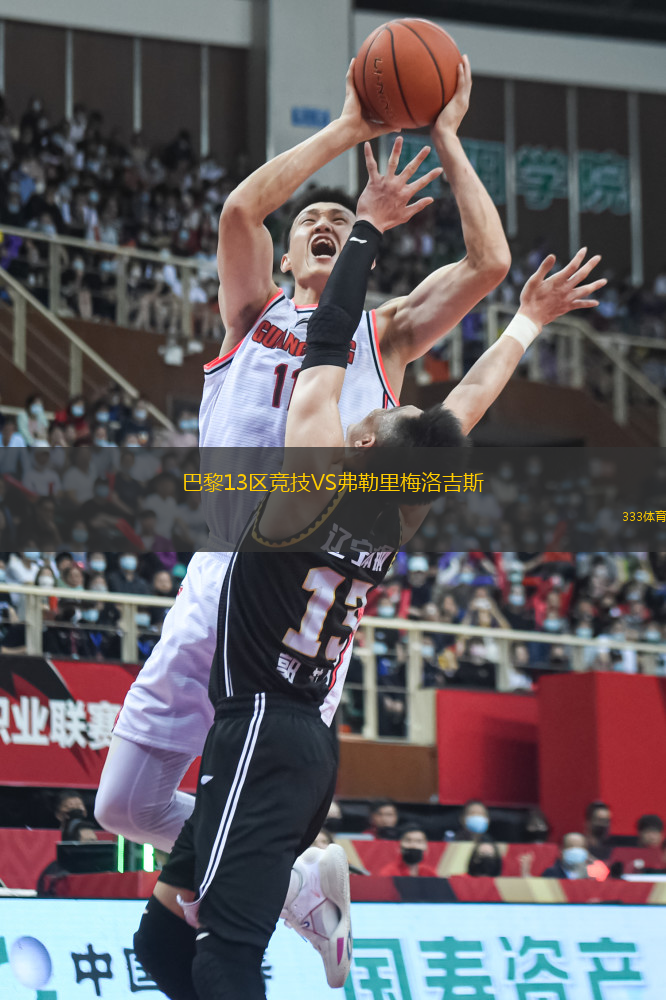 巴黎13區(qū)競技VS弗勒里梅洛吉斯