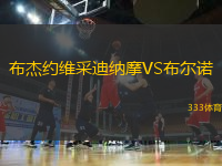 布杰約維采迪納摩VS布爾諾