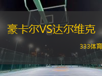 豪卡爾VS達爾維克