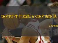 紐約紅牛后備隊(duì)VS紐約城B隊(duì)