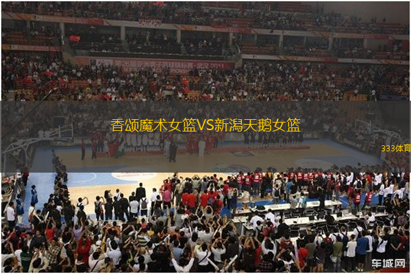 香頌?zāi)g(shù)女籃VS新潟天鵝女籃