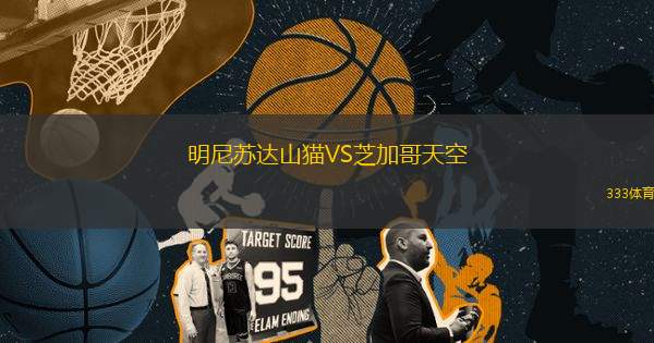 明尼蘇達(dá)山貓VS芝加哥天空