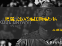 博洛尼亞VS維圖斯維羅納