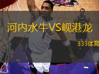 河內(nèi)水牛VS峴港龍