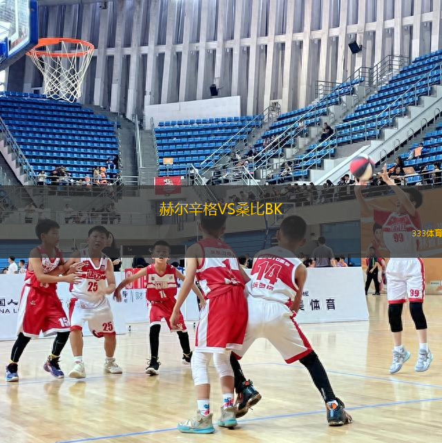 赫爾辛格VS桑比BK