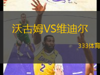 沃古姆VS維迪爾