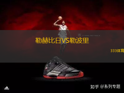 勒赫比日VS勒波里