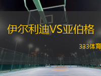 伊爾利迪VS亞伯格