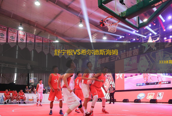 舒寧根VS希爾德斯海姆