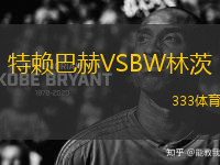特賴巴赫VSBW林茨