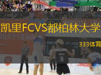 凱里FCVS都柏林大學