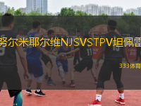 努爾米耶爾維NJSVSTPV坦佩雷